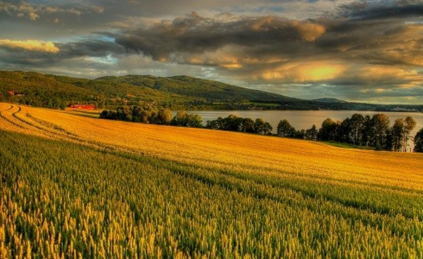 Vangsjordet